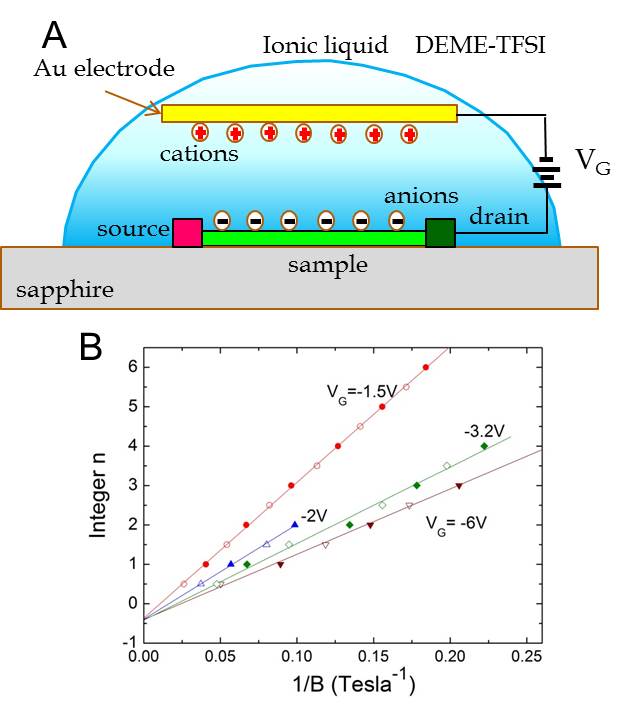 Sketch of the ionic-liquid gating experiment.