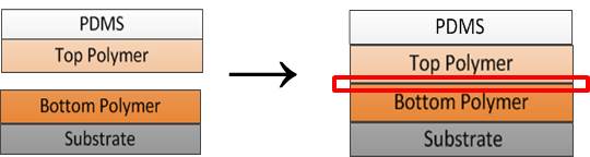 top polymer film