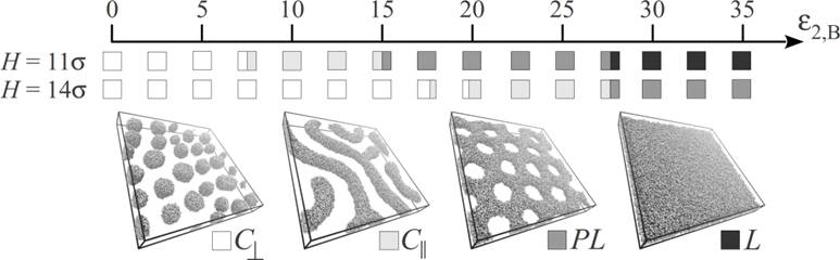 Morphology diagram of a confined monolayer of copolymers