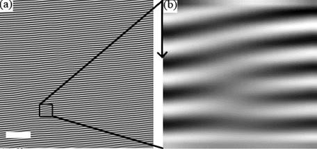 iltered atomic force microscopy (AFM) image of a shear-aligned thin film
