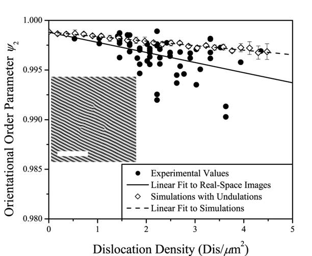 orientational order falls off linearly with dislocation density
