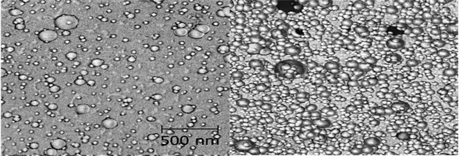 nanostructured morphology is formed during the initial stages of deposition 