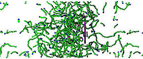 thumbnail Cell Motility Driven by Actin Polymerization