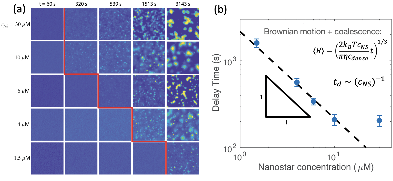nanostar nucleation