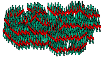 Polymer Thin Films