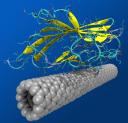 University of Pennsylvania Education Highlight - Biosensor image