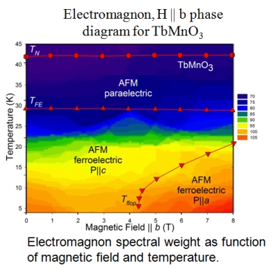 Electromagnon, H || b phase diagram for TbMnO3