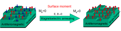 Electrically Controlled Surface Magnetism