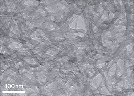 TEM image of a LbL-MWNT electrode slice