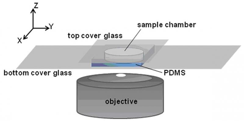 Figure 1. Sample chamber and imaging setup.