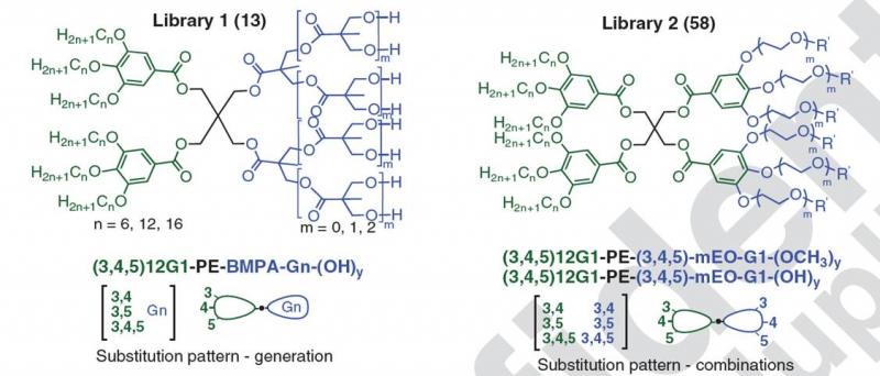Two of nine dendrimer families synthesized