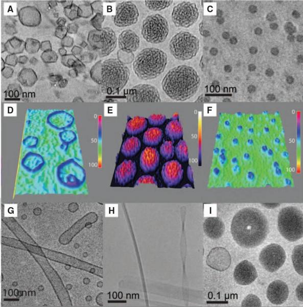 Cryo-TEM and 3D intensity profiles of (A & D) Polygonal dendrimersomes, bicontinuous cubic particles (B & E) and micelles (C & F). Cryo-TEM images of (G) tubular dendrimersomes, (H) ribbon-helices and (I) disks.