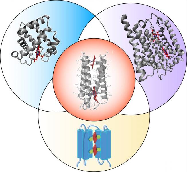 small protein scaffold better than antibody