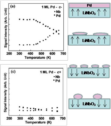 The dipole orientation in ferroelectrics, such as LiNbO3 and BaTiO3, can be controlled via application of an electric field and this can in turn affect surface properties.  